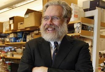 Профессор Гарварда продает свой генетический код как NFT