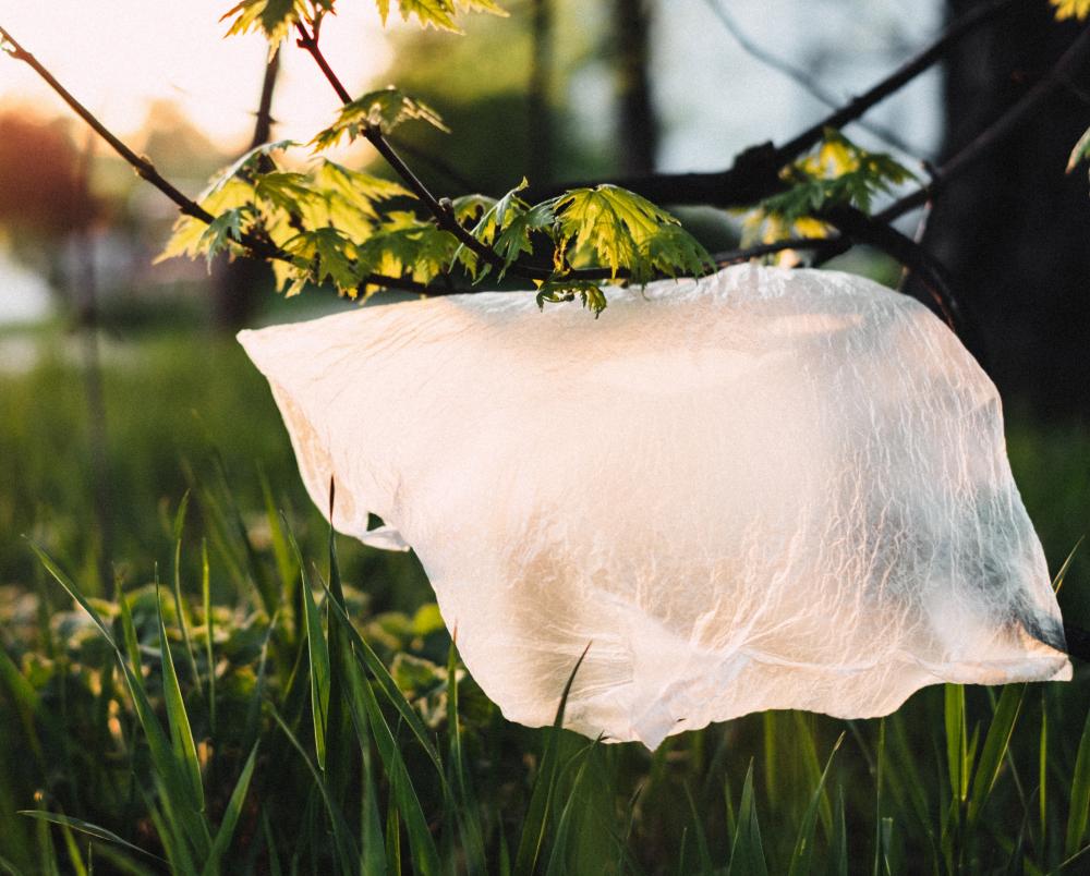 Создан пластик, который полностью разлагается в воде или компосте за несколько дней