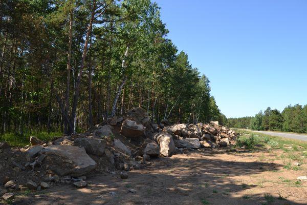 Принять срочные меры - Касым-Жомарт Токаев о вырубке деревьев в Боровом