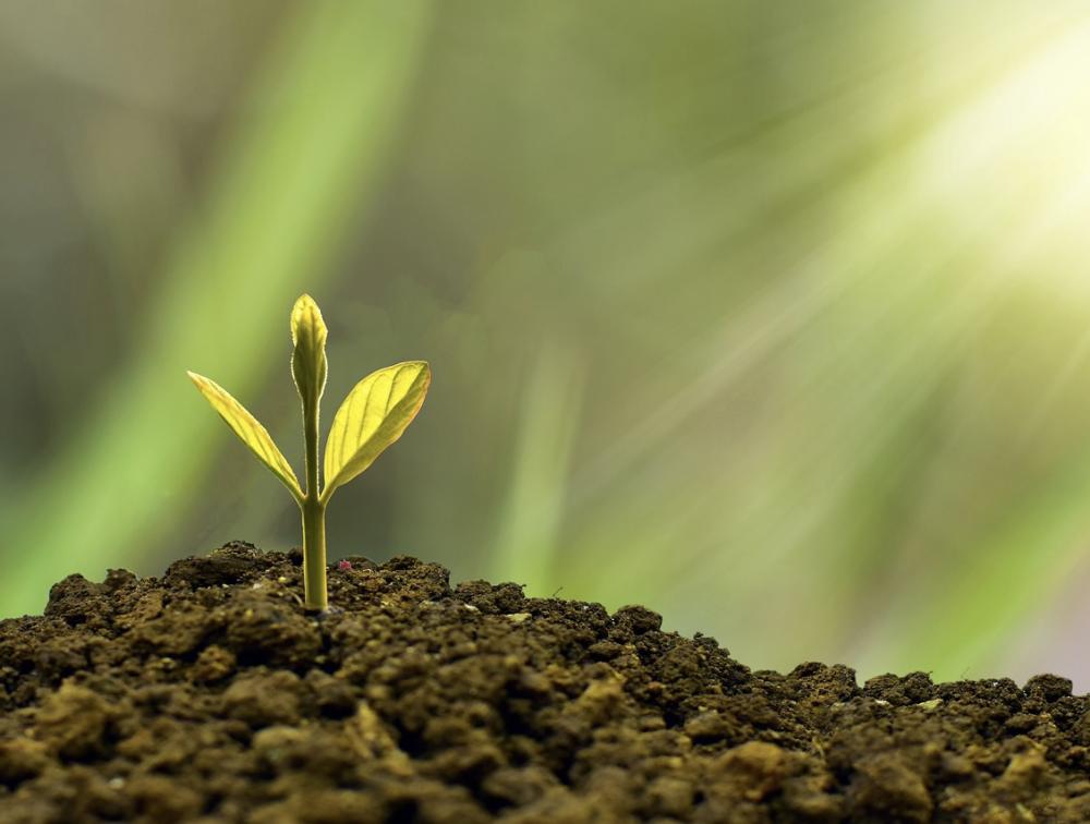 Куда несут вклады казахстанские предприниматели?