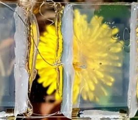 Корейские учёные создали «невидимые солнечные панели», которые можно интегрировать в смартфоны