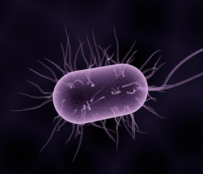 Учёные из США «оживили» древние микробы
