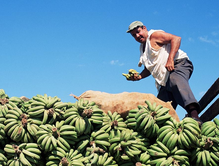 Как бразильский триатлонист подсадил американцев на снэки из некондиционных бананов