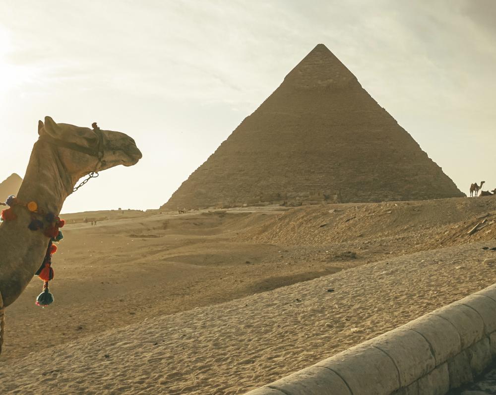 Ученые заявили о раскрытии секрета строительства пирамиды Хеопса
