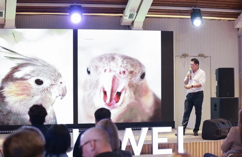 Известные фотографы изобразили Алматы в объективе флагманской смартфонов серии HUAWEI P60