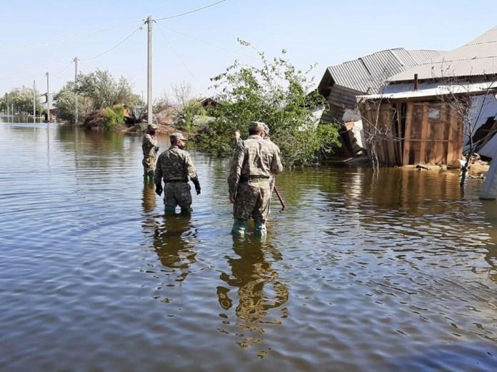 Наводнение в Туркестанской области: подсчитан ущерб, нанесенный сельскому хозяйству