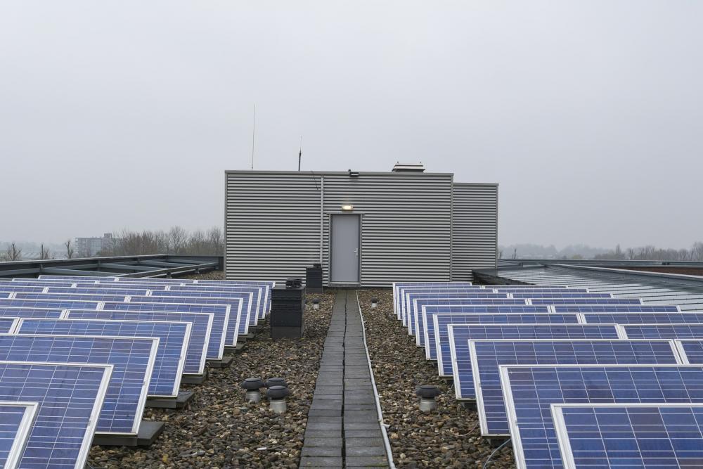 Солнечную и ветровую электростанции построил в Алматинской области  китайский подрядчик