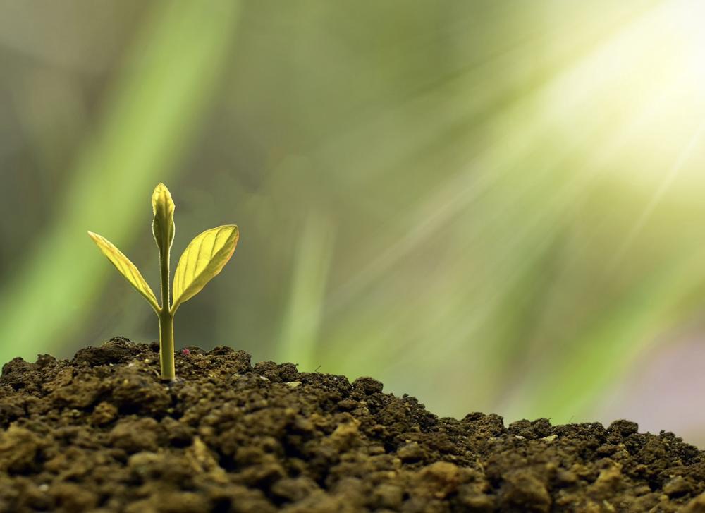 В Алматы хотят открыть пять новых производств на 12 млрд тенге