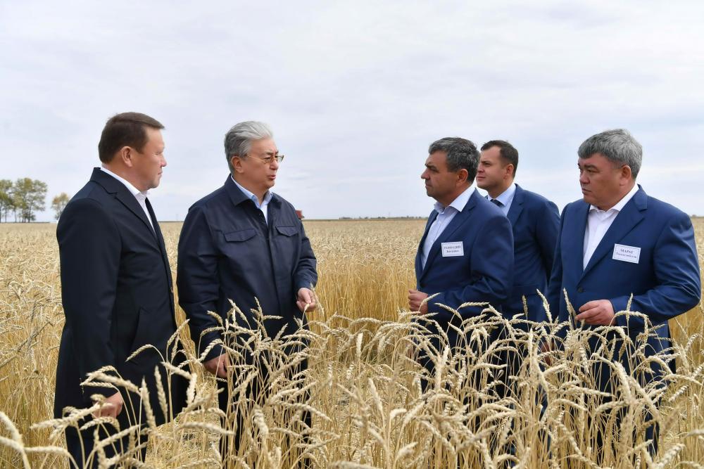 Токаев: Финансирование программы развития села в Казахстане увеличат вдвое