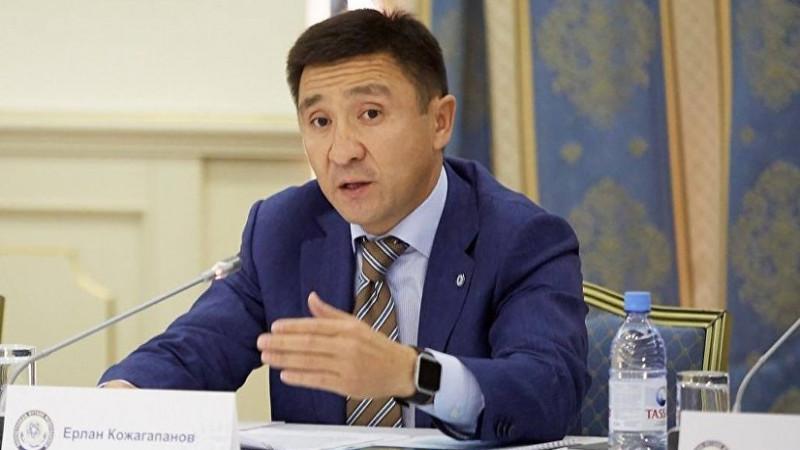 Ерлан Кожагапанов освобожден от должности вице-министра