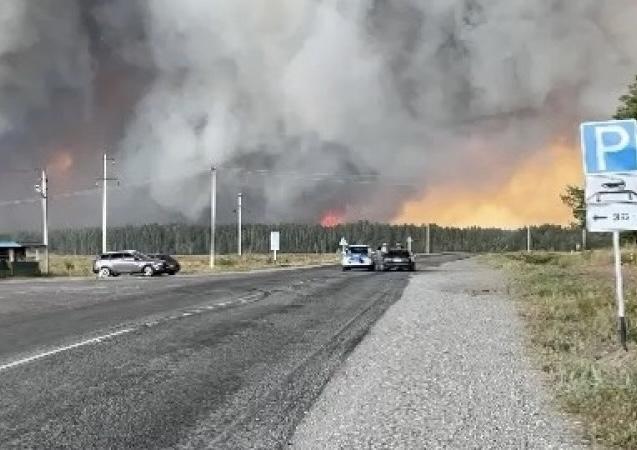 Пожар в Костанайской области: 43 тысячи гектаров выгорело, есть один погибший